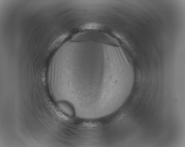 X0000080810545200701021318