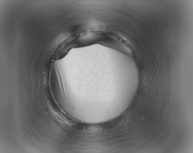 X0000080810546200701021318