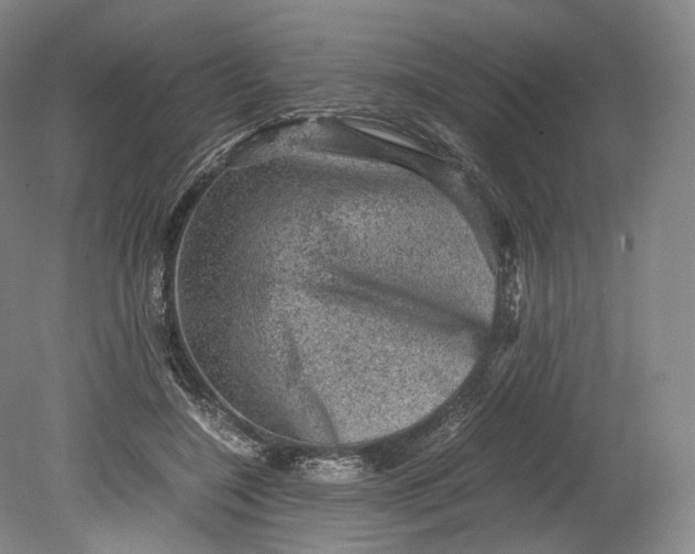 X0000080810548200701021318