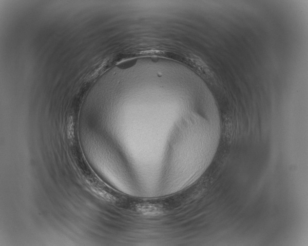 X0000080810549200701021318