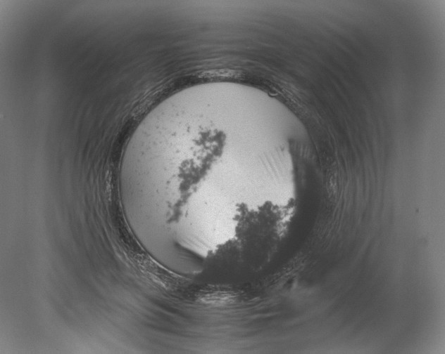 X0000080810551200701021318