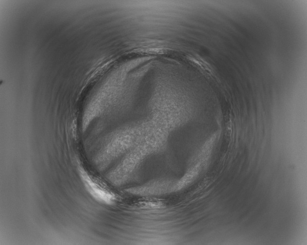 X0000080810552200701021318