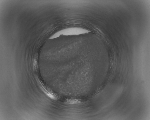 X0000080810553200701021318