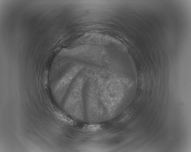 X0000080810554200701021318