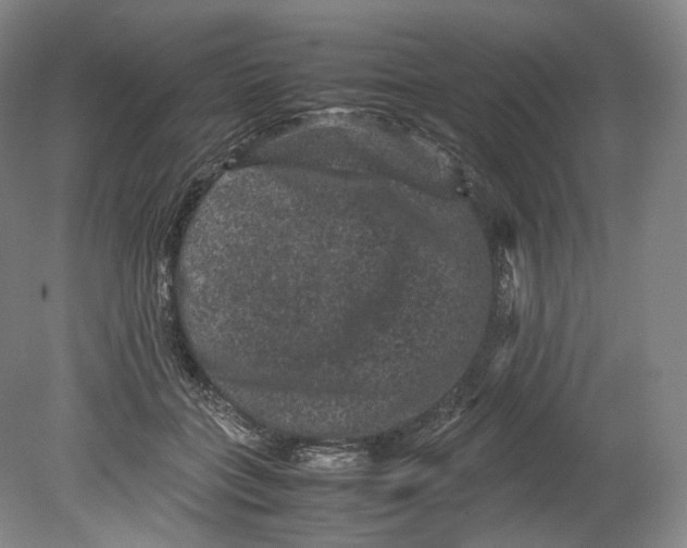 X0000080810555200701021318