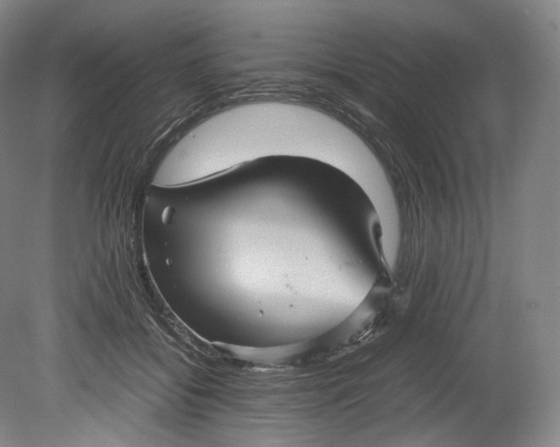 X0000080810556200701021318