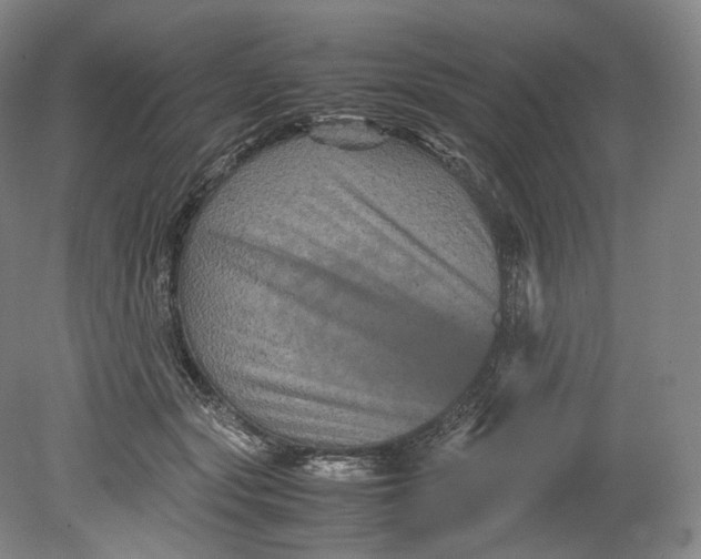 X0000080810557200701021318