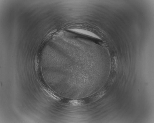 X0000080810558200701021318