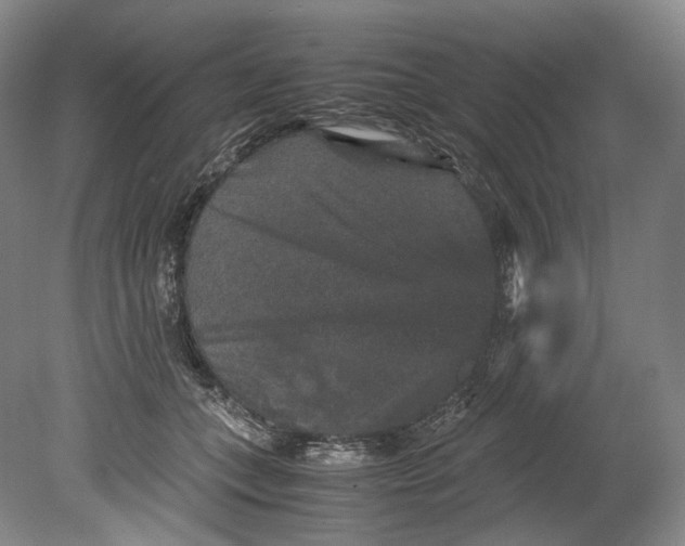 X0000080810559200701021318