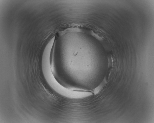 X0000080810560200701021318