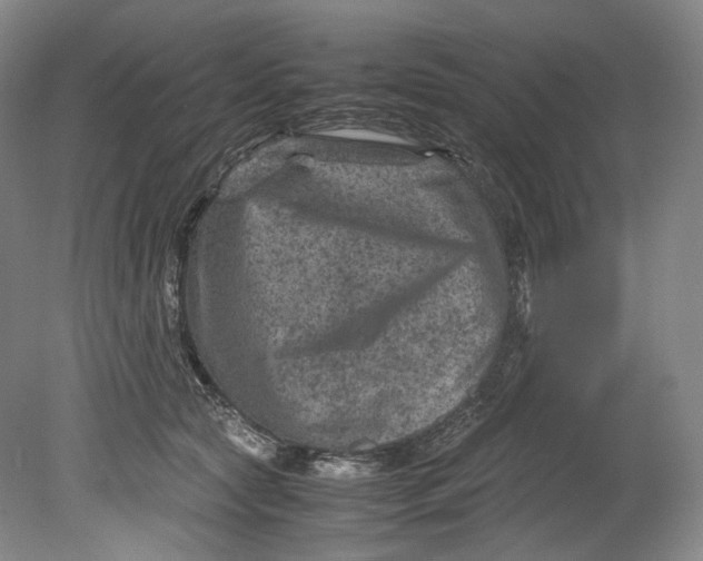 X0000080810561200701021318