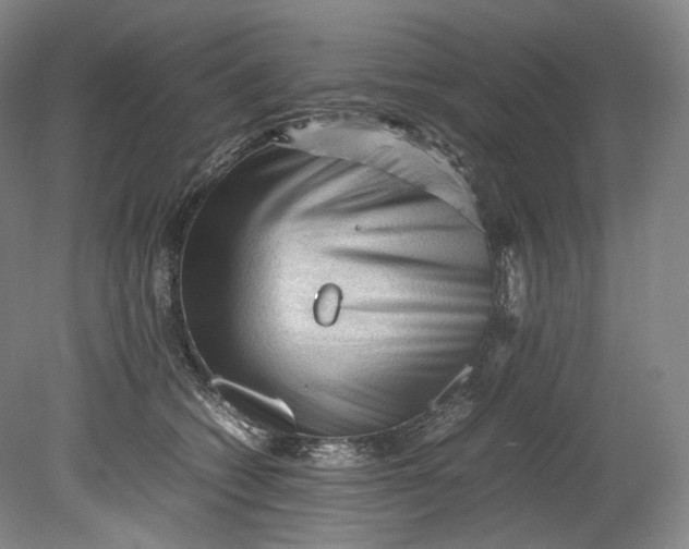 X0000080810562200701021319