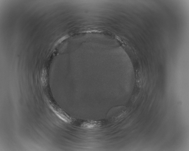 X0000080810563200701021319