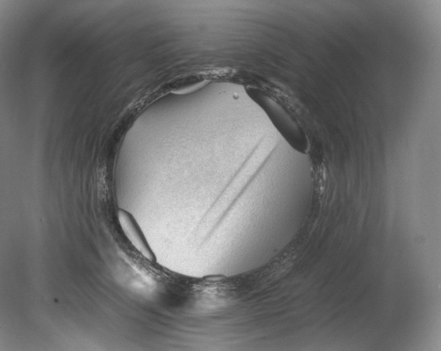 X0000080810564200701021319