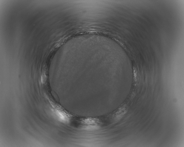 X0000080810566200701021319