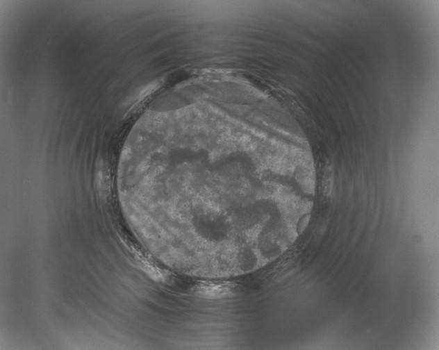 X0000080810569200701021319