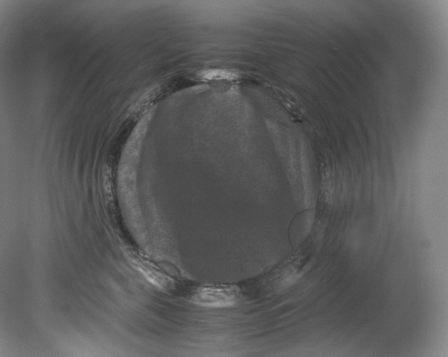 X0000080810571200701021319