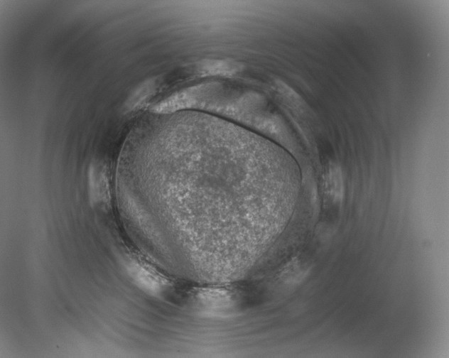 X0000080810572200701021319