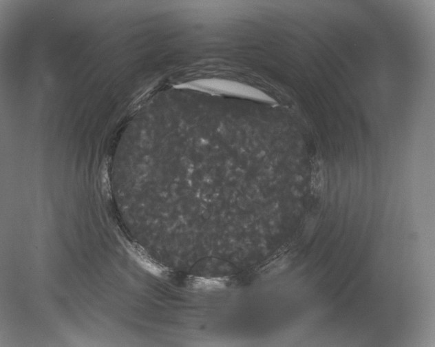 X0000080810573200701021319