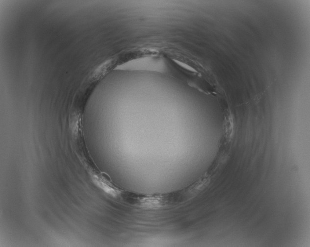 X0000080810574200701021319