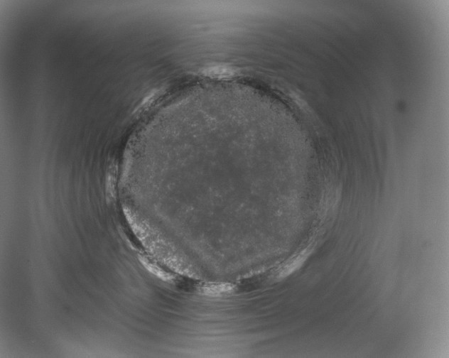 X0000080810576200701021319