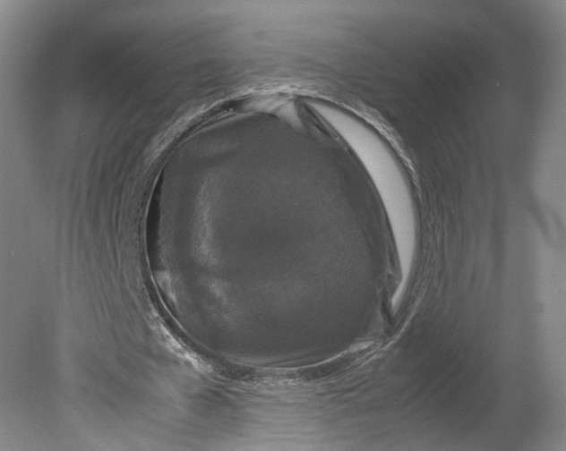 X0000080810577200701021318