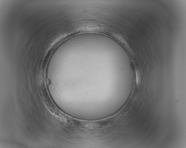 X0000080810579200701021318