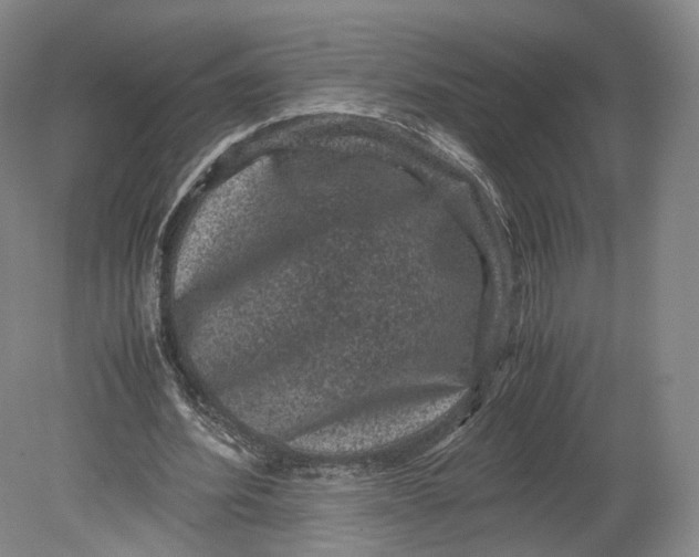 X0000080810580200701021318