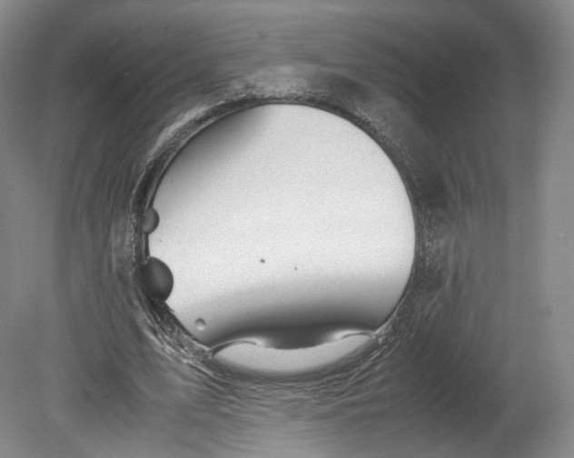 X0000080810583200701021318