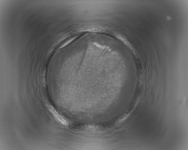 X0000080810585200701021318