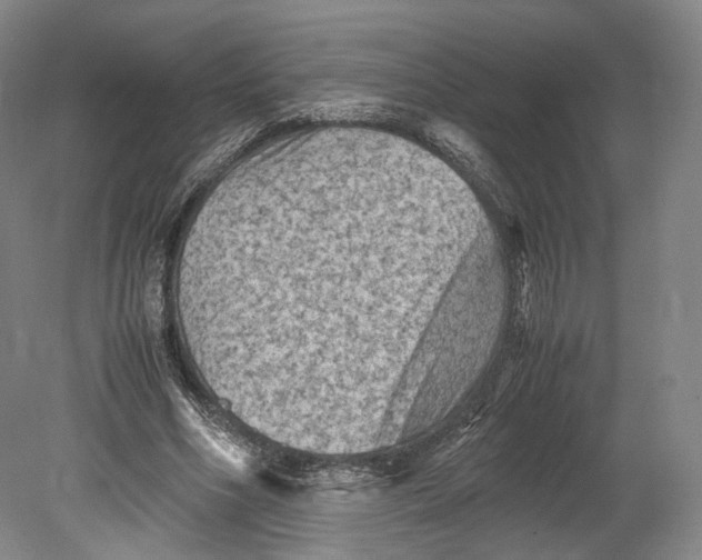 X0000080810586200701021318