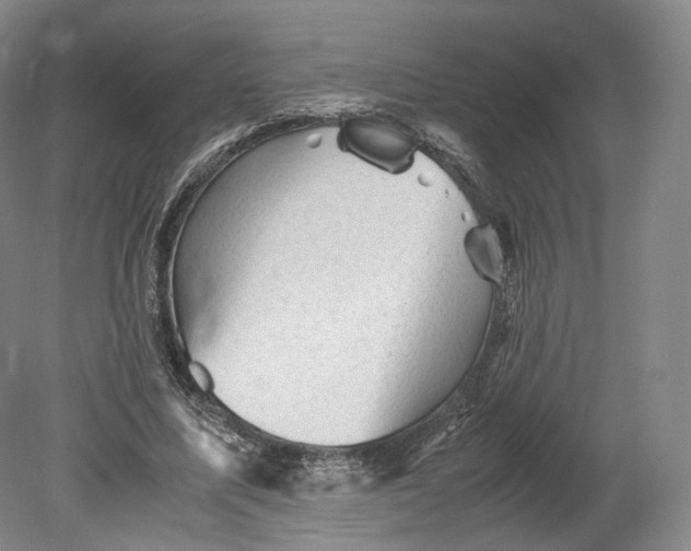 X0000080810587200701021318