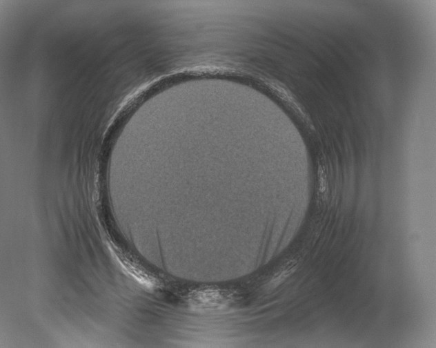 X0000080810588200701021318