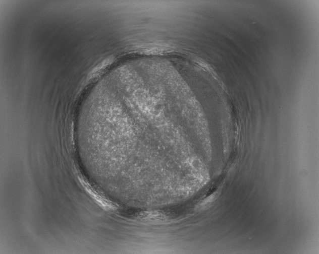 X0000080810589200701021318