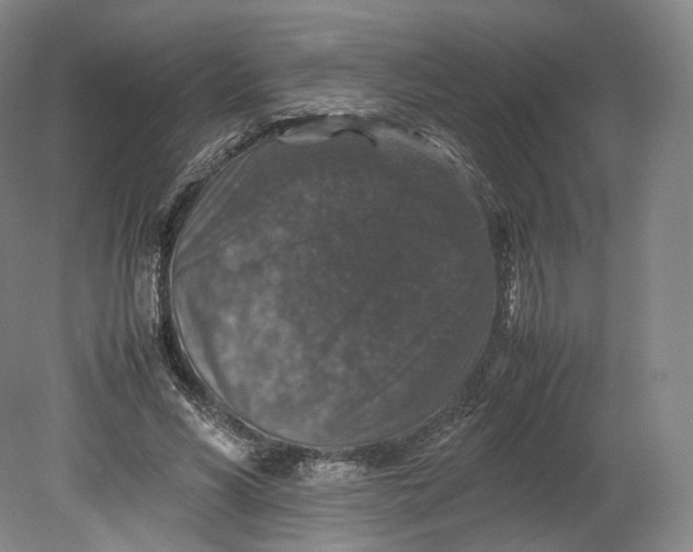 X0000080810590200701021318