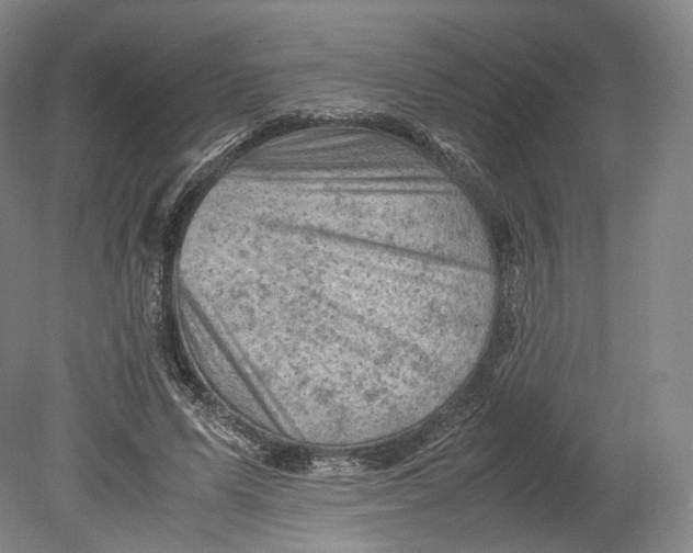 X0000080810591200701021318