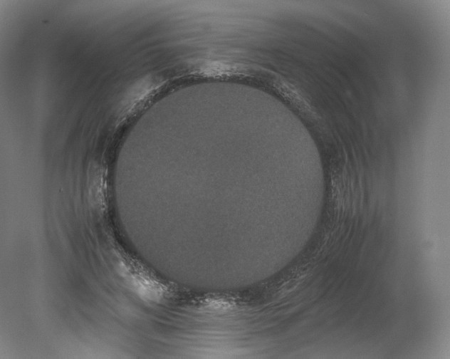 X0000080810592200701021318