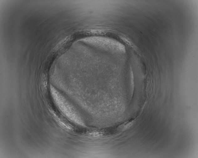 X0000080810593200701021318