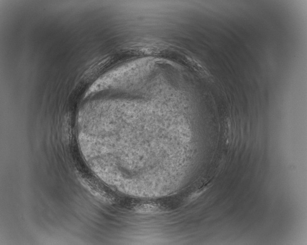 X0000080810594200701021318