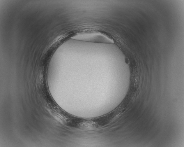 X0000080810595200701021318