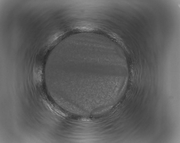 X0000080810596200701021318