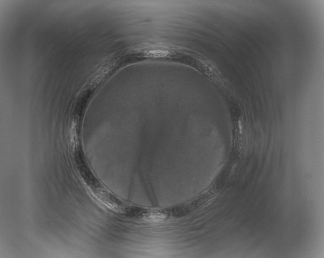 X0000080810598200701021318