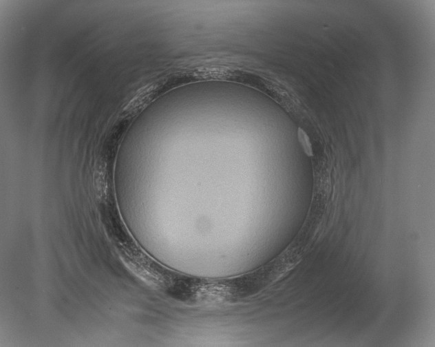 X0000080810599200701021318