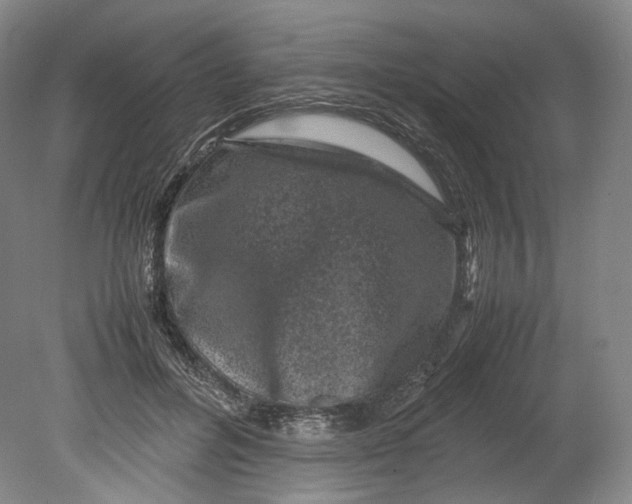 X0000080810600200701021318