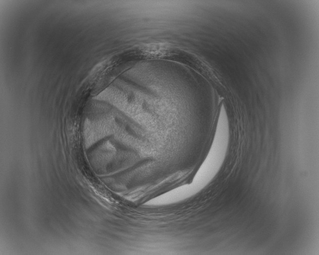 X0000080810601200701021318