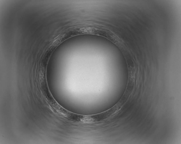 X0000080810603200701021317