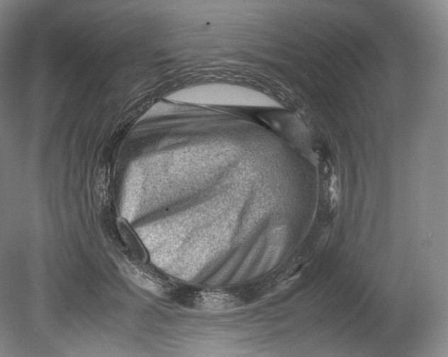 X0000080810605200701021317