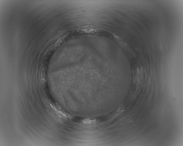 X0000080810606200701021317