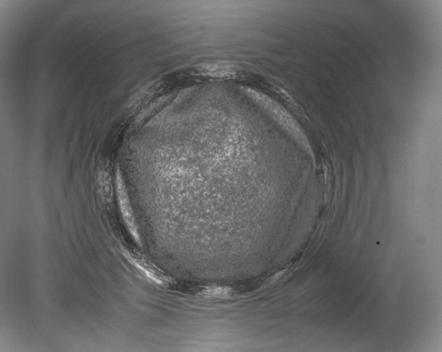 X0000080810609200701021317