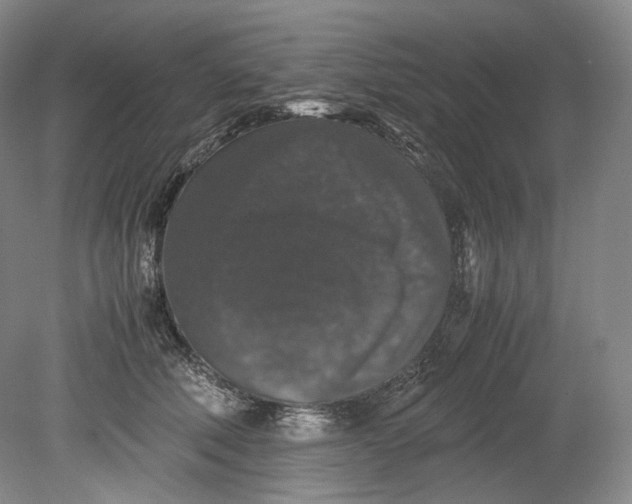 X0000080810610200701021317